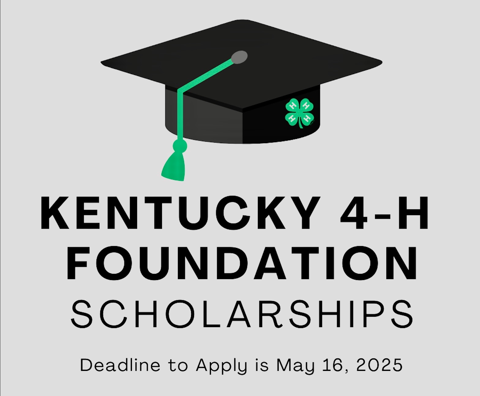 Foundation Scholarship